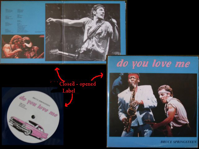 Bruce Springsteen - DO YOU LOVE ME?